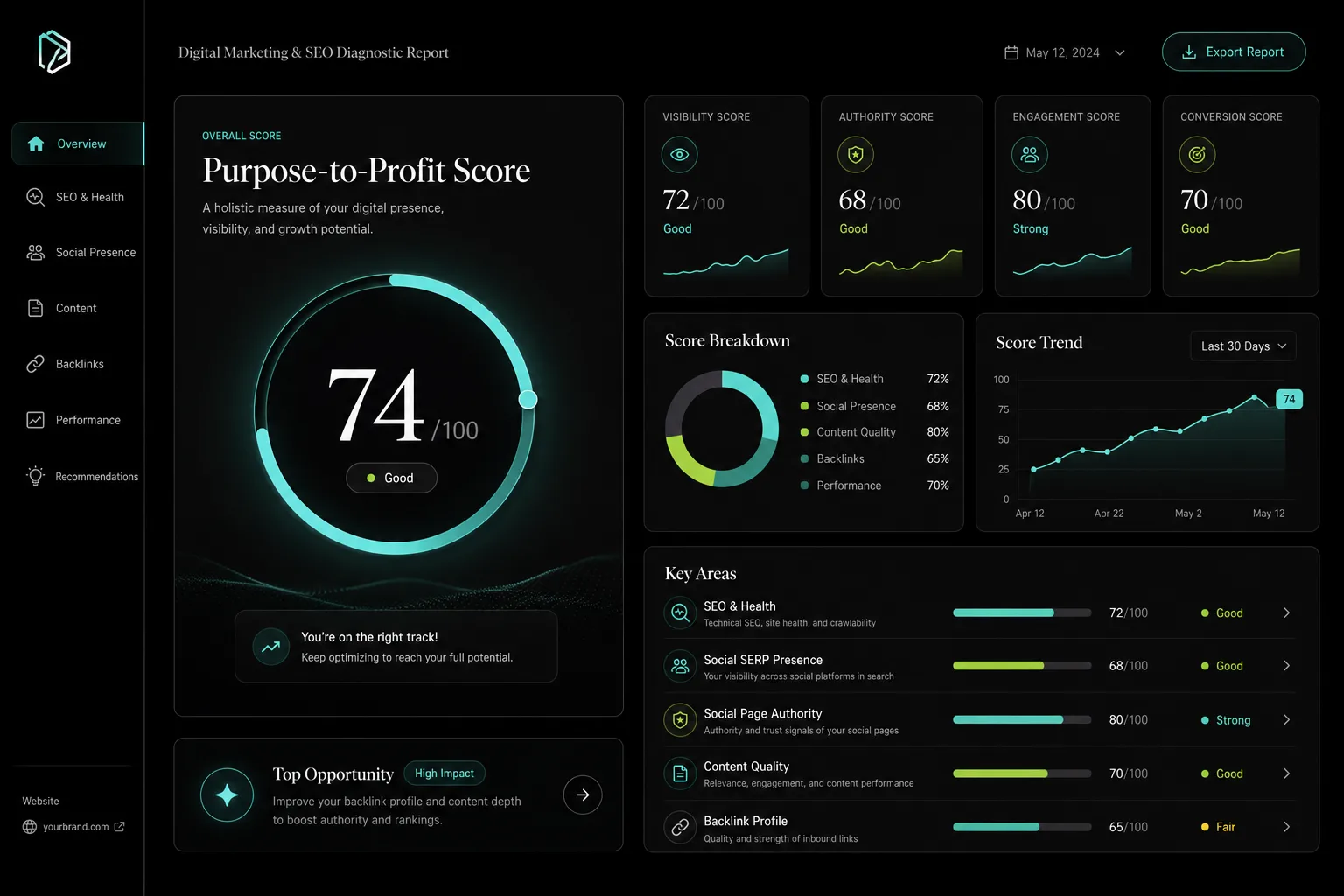 Digital Stewardship Diagnostic Dashboard